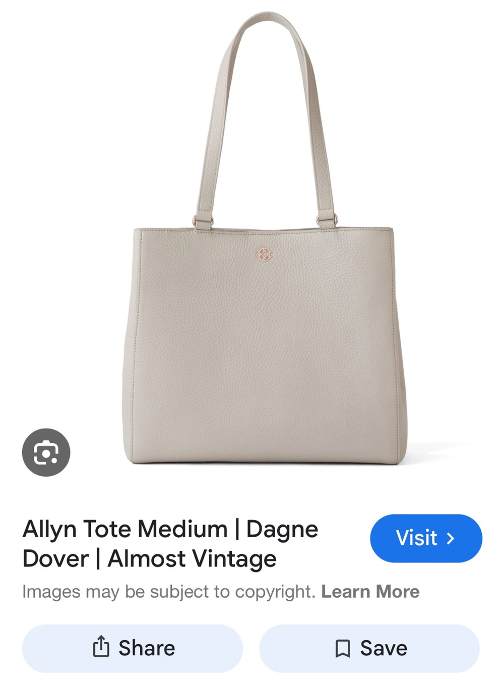Dagne Dover Allyn Medium Tote in Bone